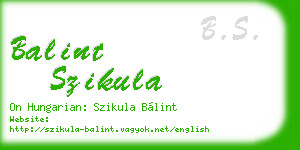 balint szikula business card
