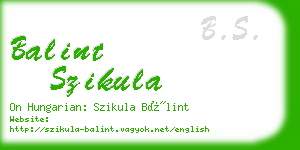 balint szikula business card